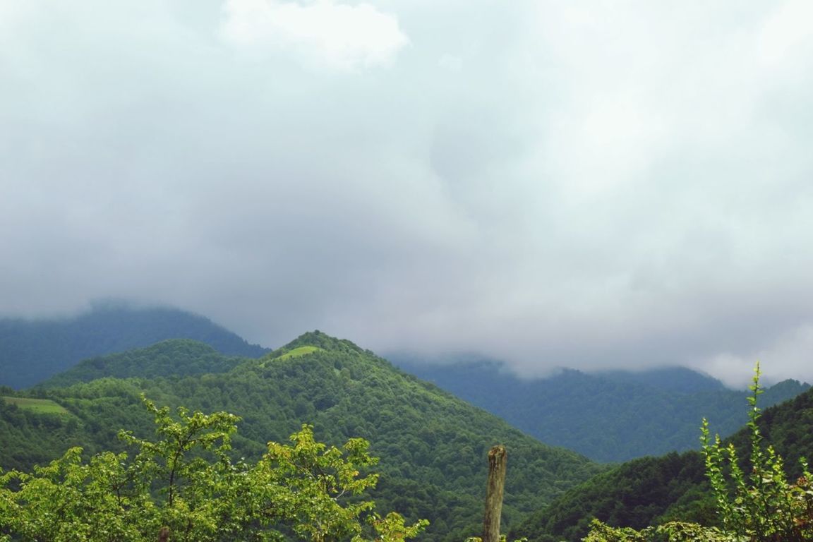 mountain, sky, tranquil scene, tranquility, scenics, beauty in nature, tree, cloud - sky, nature, cloudy, mountain range, landscape, non-urban scene, green color, idyllic, cloud, weather, growth, lush foliage, day