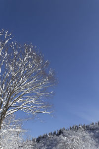 Firework display against clear blue sky during winter