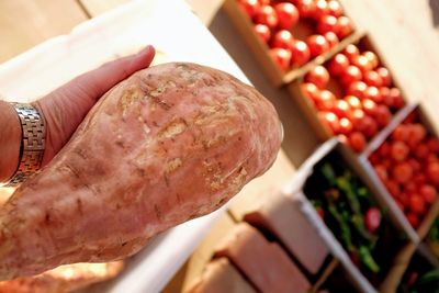 Close-up high angle view of hand holding bread