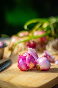 Close-up of food on cutting board