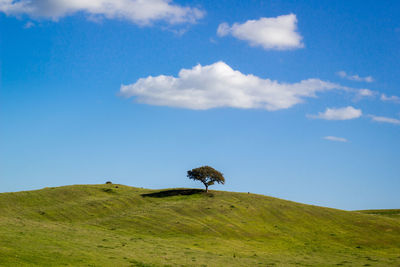 Scenic view of green landscape against blue sky