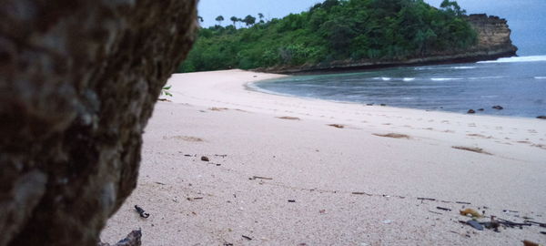 Scenic view of beach against sky