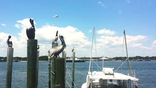 Boats in harbor