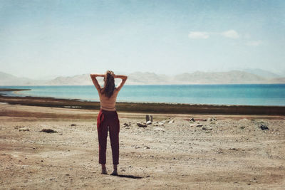 Rear view of man standing at beach against sky