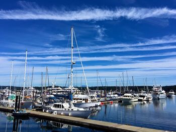 Sailboats moored in harbor