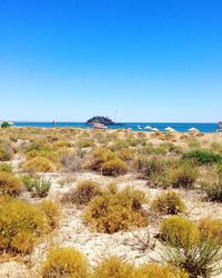 Bushes on shore of beach with boat and people