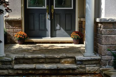 Potted plants outside building