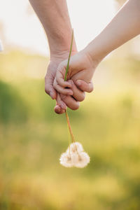 Close-up of couple holding hands on field