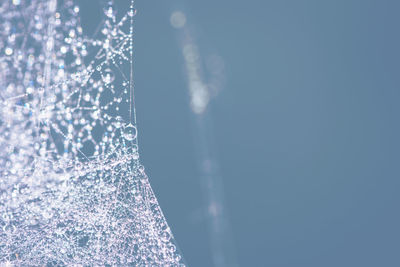 Low angle view of christmas tree against clear blue sky