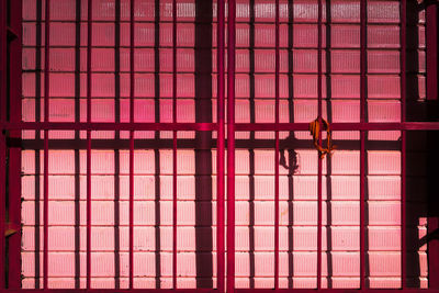Close-up of window