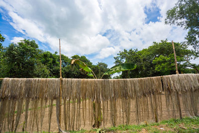 Low angle view of wooden posts amidst trees against sky