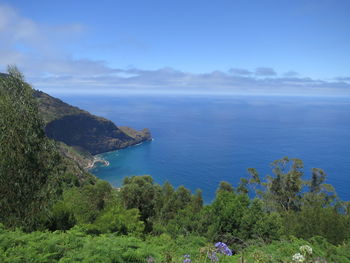 High angle view of trees by sea against sky