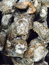 Full frame shot of abstract background