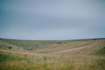 Scenic view of field against clear sky