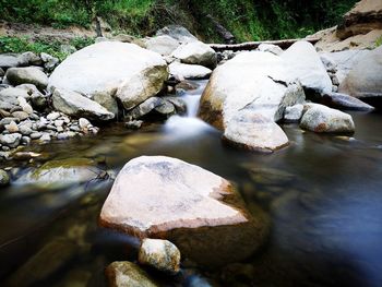 Stream flowing through rocks in forest