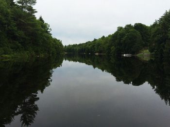 Reflection of trees in calm lake