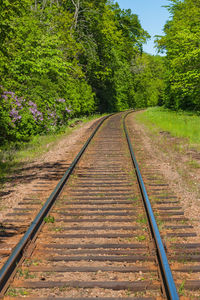 View of railroad tracks along trees