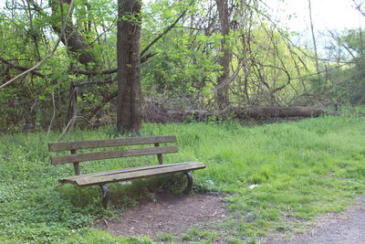 Empty bench in park