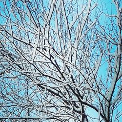 Low angle view of bare tree against sky