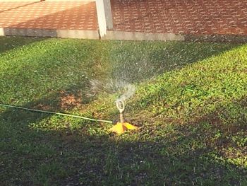 View of grassy landscape