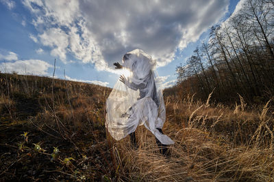 Man wrapped in plastic standing on field against sky