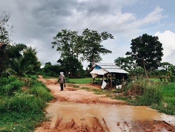 Man walking on road amidst trees against sky