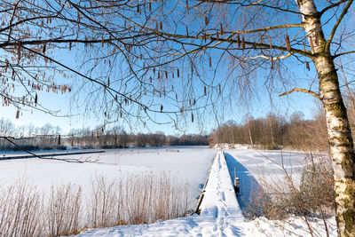 Bare trees on snow covered land against sky