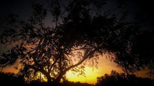 Low angle view of silhouette trees against sky at sunset