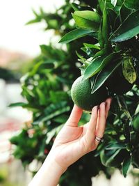 Close-up of woman holding orange