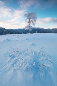 Scenic view of snow covered land against sky