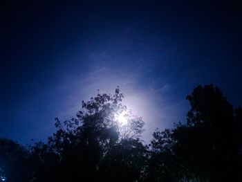 Low angle view of silhouette trees against blue sky