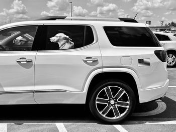 mode of transportation