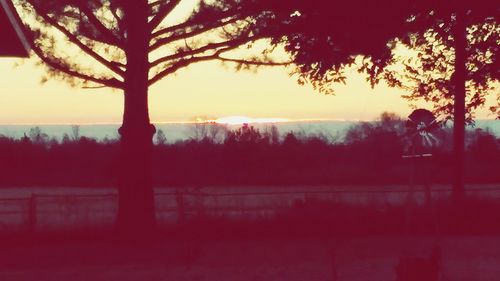 Bare trees on landscape at sunset