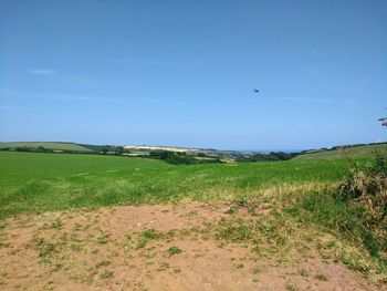 Scenic view of field against blue sky