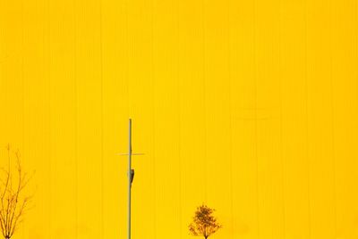 Yellow street light against orange sky