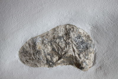 Close-up of rock on floor