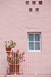 House window