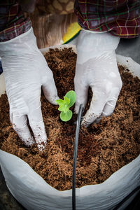 Midsection of woman holding umbrella standing by plants