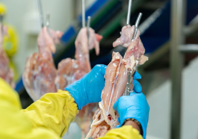Close up worker use stainless pliers pull fillet out of chicken carcass on conveyor jack 