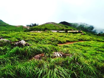 Scenic view of landscape against sky