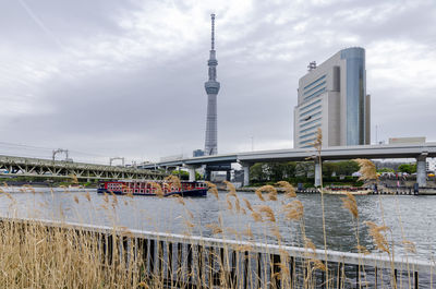 Iconic buildings as seen from sumida park, across sumida river including tokyo sky tree.