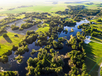 Aerial view of agricultural field