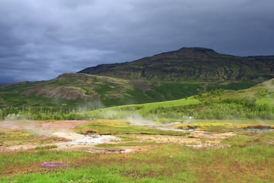 Scenic view of field against sky