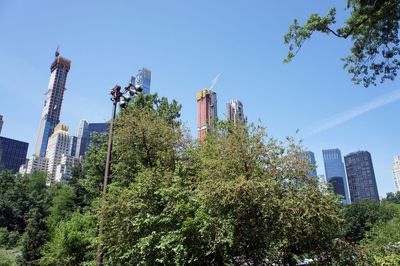 Low angle view of trees and buildings against sky