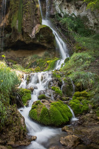 Waterfall in green deep forest, beautiful clean water, background