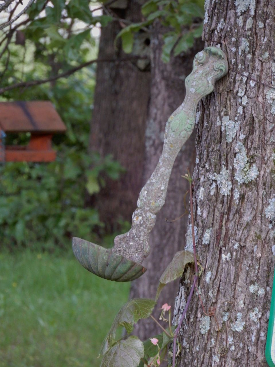 CLOSE-UP OF TREE TRUNK AGAINST STONE WALL