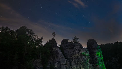 Low angle view of plants against sky at night