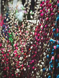 Full frame shot of multi colored flowers for sale in market