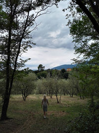 Trees on landscape against cloudy sky