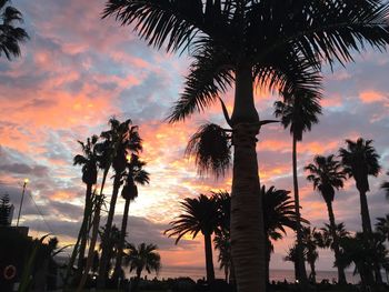 Low angle view of silhouette palm trees against cloudy sky during sunset